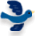 鳥