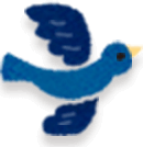 鳥