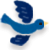 鳥