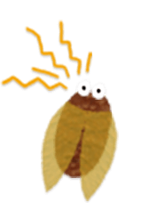 セミ